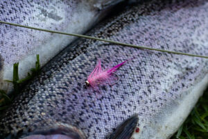 Alternative view of Wooly Bugger - Fl.Cerise og Pink
