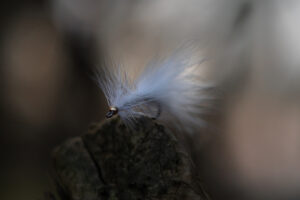 Wooly Bugger - Hvid