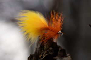 Wooly Bugger - Fl.Orange