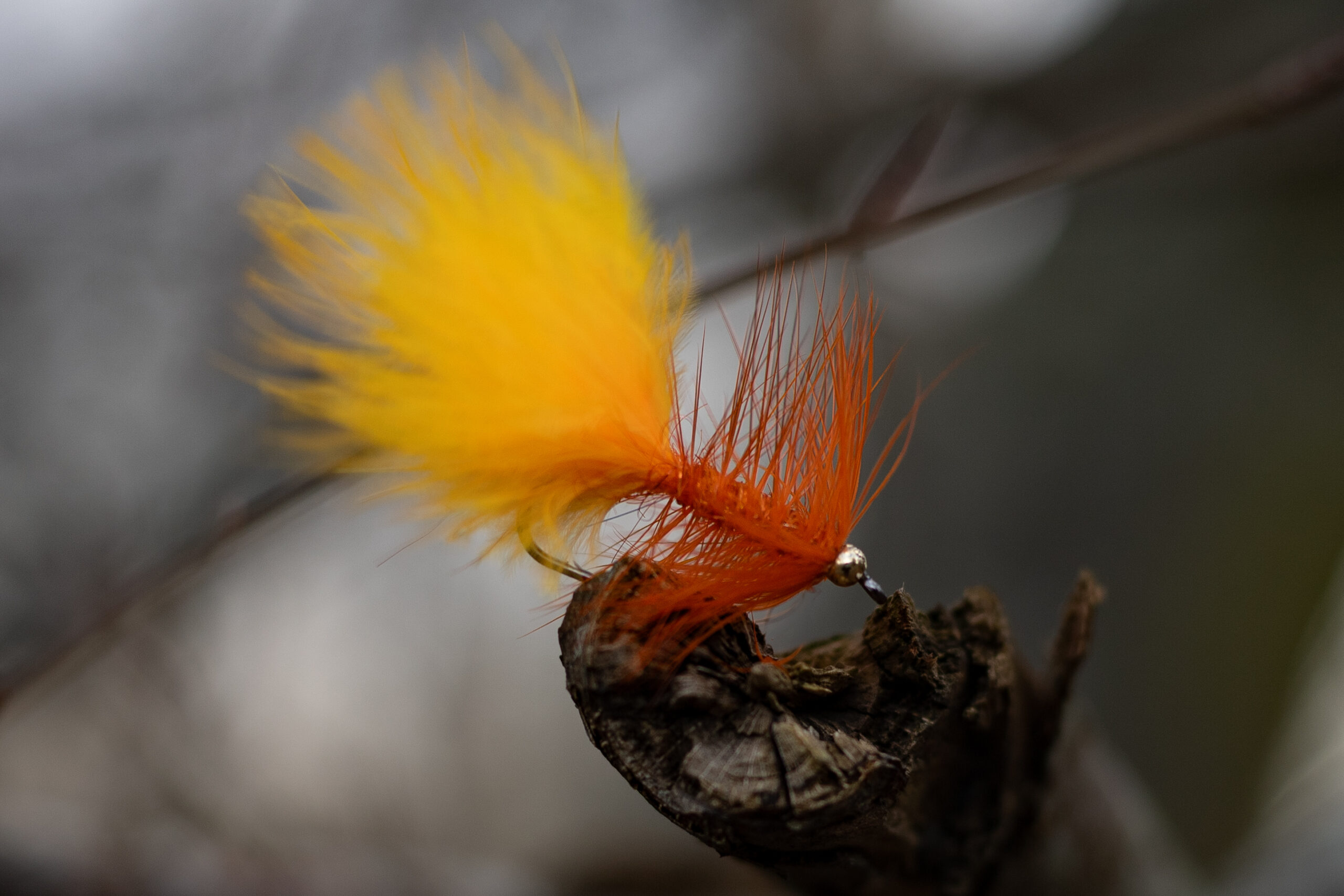 Wooly Bugger - Fl.Orange - Billede 3