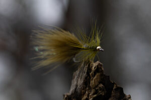 Wooly Bugger - Sculpin Olive