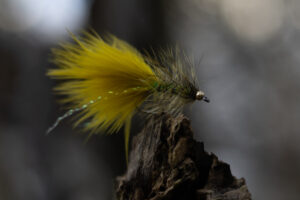 Wooly Bugger - Yellow Olive