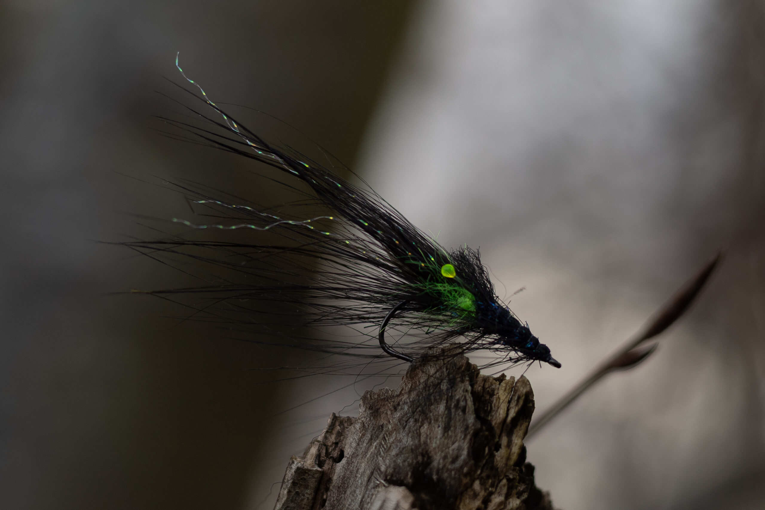 Pattegrisen - Spey Sort