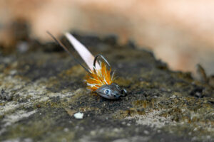 Small Sculpin Double Tail - Orange og Kobber